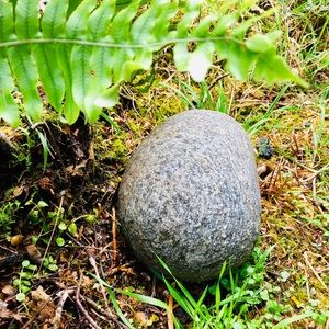 Meet your Posher, Teresa